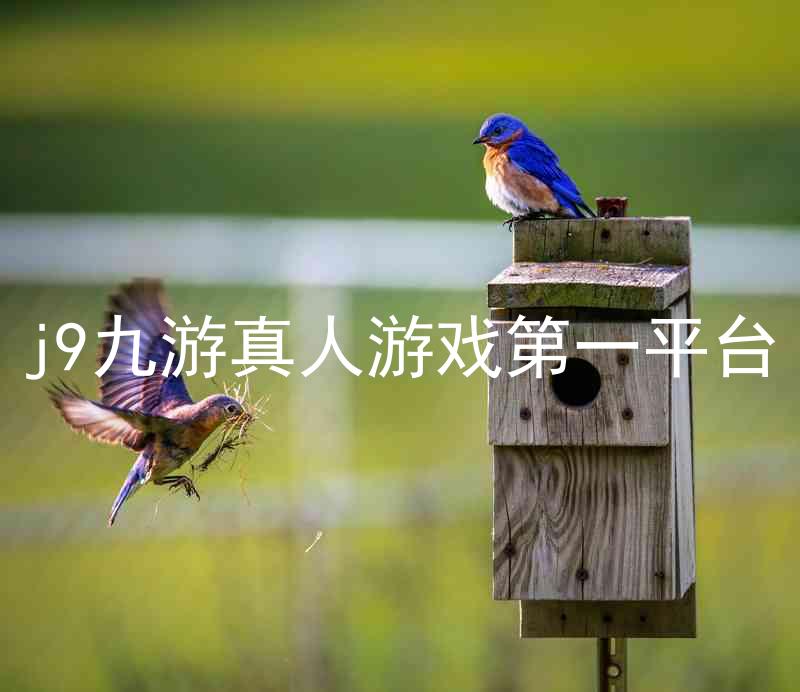 j9九游真人游戏第一平台